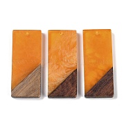 Подвески из смолы и дерева WOOD-F015-09G