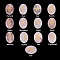 Oval Natural Rose Quartz Rune Stones, Healing Stones for Chakras Balancing, Crystal Therapy, Meditation, Reiki, Divination Stone, 20x15x6~7mm, 13pcs/set