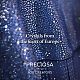 Preciosa® maxima crystal без горячей фиксации плоские камни Y-PRC-NSS16-70230-5