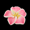 Handmade Polymer Clay 3D Flower Plumeria Beads, Pink, 15x8mm, Hole: 2mm