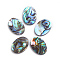 Natural Abalone Shell/Paua Shell Cabochons, Oval, 18x13x2mm