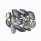 Natural Labradorite Pendants, Mixed Shape, 21~43.5x14~24.5x5~11mm, Hole: 1mm