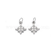 Подвеска из нержавеющей стали 304 STAS-N097-186P