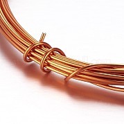 Круглая алюминиевая проволока AW-D009-2.5mm-10m-12