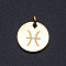 201 Stainless Steel Charms, Twelve Constellations, with Jump Rings, Flat Round, Pisces, 12x1mm, Hole: 3.5mm