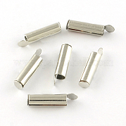 Железо скользят по конечных бюгельных труб IFIN-R212-01P-1.6cm