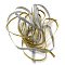 Glitter Flat Nylon Elastic Cord/Band, with Rubber Inside, Webbing Garment Sewing Accessories, Mixed Color, 12.5mm, about 2.19 Yards(2m)/Strand