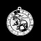 Non-Tarnish 201 Stainless Steel Pendants, Laser Engraved Pattern, Flat Round with Constellation, Capricorn, 33x30x1mm, Hole: 2mm