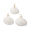Natural Ark Shell Pendants, Shell Shape Charms with Copper Wire Loops, Light Gold, 28~34x24.5~30.5x9~12.5mm, Hole: 4mm