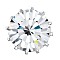 Preciosa® MAXIMA Crystal Sew-On French Cup, Czech Crystal, Round(719 35 114 Chaton), 00030 Crystal, Silver, 10.55~10.9mm