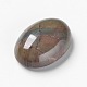 Естественных цветов агат кабошоны G-F296-01-25x18mm-2