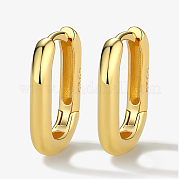 Серебристая серьга обруча ZM8420-2