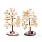 Natural Citrine Chips & Agate Pedestal Display Decorations, Tree of Life Healing Stone Tree, for Reiki Healing Crystals Chakra Balancing, Cadmium Free & Lead Free, 59~70x47~65x100~114mm