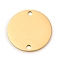 304 Stainless Steel Connector Charms, Disc Links, Stamping Blank Tag, Golden, 20x1mm, Hole: 2mm