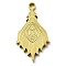 Ion Plating(IP) 316L Surgical Stainless Steel Pendants, Nickel Free, Textured, Peacock Feather Charm, Real 18K Gold Plated, 27x14.5x2mm, Hole: 2mm
