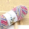Squirrel Wool Knitting Yarn, for Garments Scarves Sweater Shawl Hats, Colorful, 0.5~1mm, about 125.77 Yards(115m)/Skein