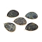 Natural Rhyolite Jasper Pendants, with Brass Findings, Golden, 42x30.5x1.5~2mm, Hole: 1.6mm