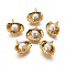 Natural Cultured Freshwater Pearl Pendants, with Brass Findings, Shell Shape, Golden, 22~23.5x23~26x10~12mm, Hole: 1.2mm
