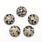 Natural Dalmatian Jasper Cabochons, Half Round, 4x2~2.5mm