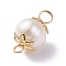 Natural Cultured Freshwater Pearl Beads Links Connectors, with Golden Tone 304 Stainless Steel Findings, Oval, Seashell Color, 17.5x9mm, Hole: 1.8~3.5mm