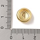 Подвески из латуни и кубического циркония KK-Z047-07G-P-RS-3