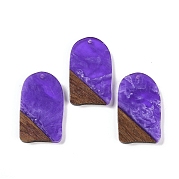 Подвески из смолы и дерева WOOD-F015-13D
