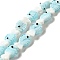 Handmade Lampwork Beads Strands, Fish, Pale Turquoise, 20~21x12~12.5x7.5~10.5mm, Hole: 1.2mm, about 20pcs/strand, 16.26 inch(41.3cm)