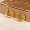 Stylish Stainless Steel Geometric Hoop Earrings for Women's Daily Wear, Golden, 21.22x23.58mm