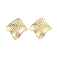 Серьги-гвоздики из нержавеющей стали 304 EJEW-P245-15G-1