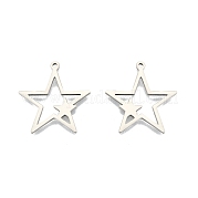 Подвески из нержавеющей стали 201 STAS-N098-107P