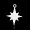 Non-Tarnish 201 Stainless Steel Pendants, Star, Stainless Steel Color, 19x14x1mm, Hole: 1.6mm