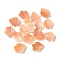 Natural Sea Shell Carved Leaf Charms, Light Salmon, 13.5~14x11.5~12x2~2.5mm, Hole: 0.9mm