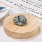 Natural Leopard Skin Jasper Display Decorations, Reiki Energy Stone Figurine, Sleeping Cat, 33.5x39x23.5mm