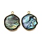 304 Stainless Steel Pave Natural Paua Shell Pendants, Ion Plating(IP), Real 18K Gold Plated, Flat Round, 21x18x4mm, Hole: 1.6mm