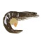 Resin Cabochons, Imitation Food, Shrimp, Coconut Brown, 69x42x11mm