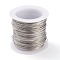 Non-Tarnish 316 Surgical Stainless Steel Wire, for Jewelry Making, Stainless Steel Color, 21 Gauge, 0.7mm, about 42.65 Feet(13m)/roll