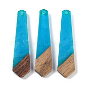 Подвески из смолы и дерева WOOD-F015-05G