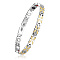 304 Stainless Steel Panther Chain Watch Band Bracelets, with Watch Band Clasps, Golden & Stainless Steel Color, 8-1/4 inch(21cm)