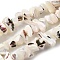 Natural Trochid Shell/Trochus Shell Beads Strands, Dyed, Nuggets, White, 5~22x7~15x3~8mm, Hole: 1.2mm, about 65~70pcs/strand, 14.69~15.35''(37.3~39cm)