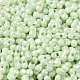Непрозрачные цвета блестящие стеклянные бусины SEED-B001-01A-10-3