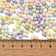 Выпечка расписных стеклянных бусин SEED-C004-04E-4