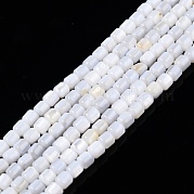 Нити бусин из натуральных пресноводных ракушек SHEL-N003-33-B01