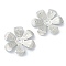 Non-Tarnish 304 Stainless Steel Bead Caps, 6-Petal Flower, Stainless Steel Color, 17x16x2mm, Hole: 1.5mm