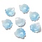 Acrylic Pendants, Leaf, Light Sky Blue, 25~26x23~24x4~6mm, Hole: 1~1.5mm