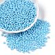 Выпечка краска стеклянные бусины SEED-T006-03I-3