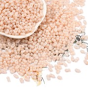 Выпечка краска стеклянные бусины SEED-L011-09A-11