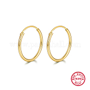 925 серебряные серьги-обручи HA9525-06