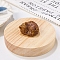 Natural Jasper Display Decorations, Reiki Energy Stone Figurine, Sleeping Cat, 33.5x39x23.5mm