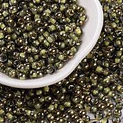 Бисер из стекла  SEED-A032-06I
