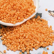 Выпечка краска стеклянные бусины SEED-S042-05A-30